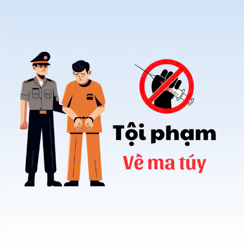 Tội phạm ma túy nên thuê luật sư địa phương hay luật sư TP.HCM?